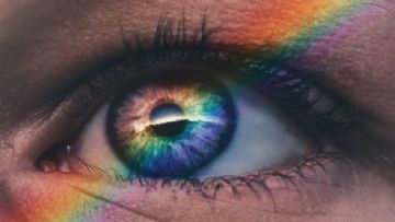 Asperger Sendromu Transseksüelliğe Yol Açar mı?