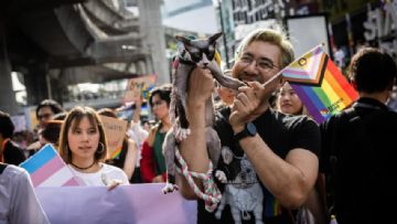 Evcil Hayvanınız Kendini Trans Olarak mı Tanımlıyor?