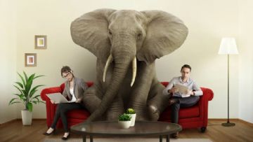 Odadaki Fili Görmek: Akademisyen Bir Annenin Toplumsal Cinsiyet Değerlendirmesi