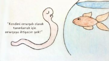 Trans İdeolojisindeki Çelişkilerin Tamamlanmamış Bir Listesi