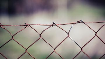 Trans İdeolojisinin Neden Sınırları Yok?