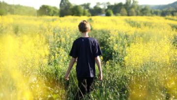 Transgender Sohbetleri: İnternet, Akran Etkisi ve Okul Materyalleri