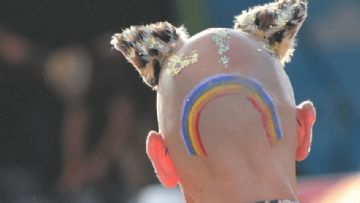 Transgender ve Cisgender Ergenlerde Çocukluk Çağı İstismarı