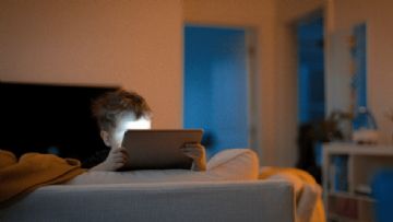 YouTube Kids'te Transseksüellik ve Pornografi